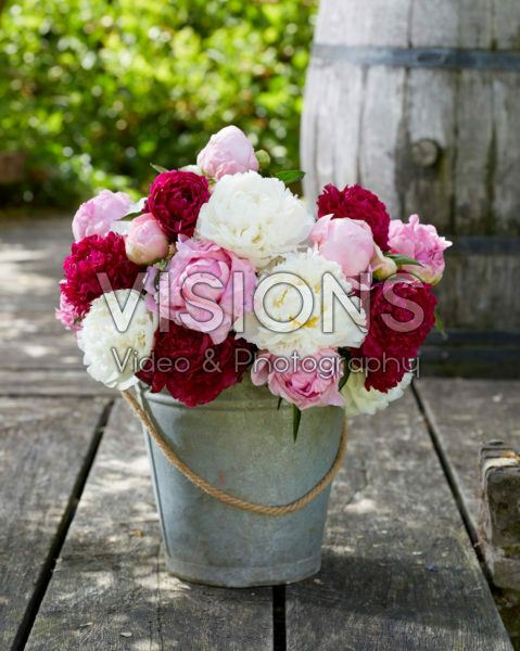 Paeonia sorbet boeket