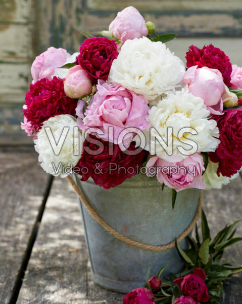 Paeonia sorbet bouquet