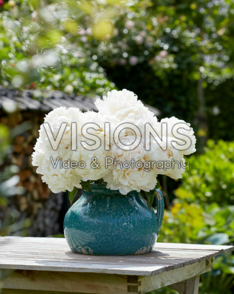 Paeonia Bowl of Cream boeket Paeonia Bowl of Cream boeket