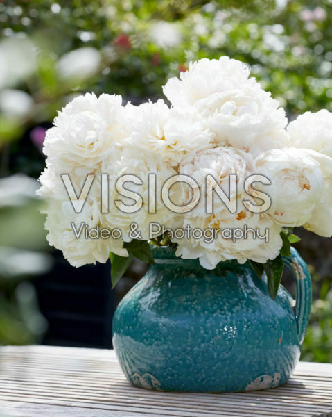 Paeonia Bowl of Cream bouquet Paeonia Bowl of Cream bouquet