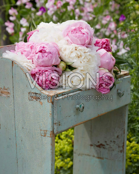 Paeonia romantic mix Paeonia romantic mix