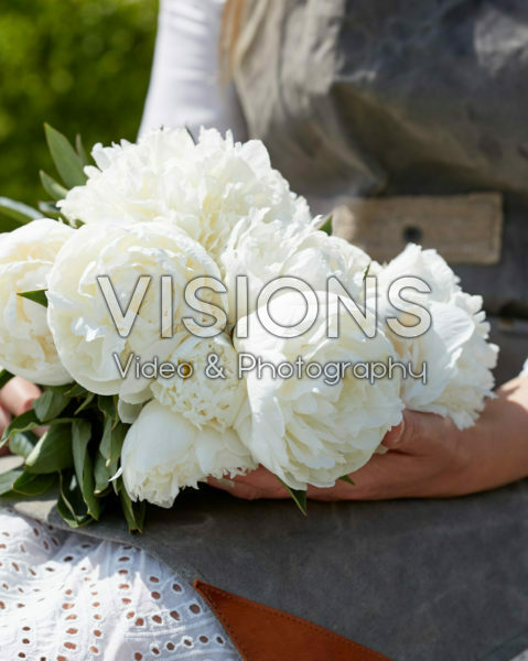 Paeonia Duchesse de Nemours Paeonia Duchesse de Nemours
