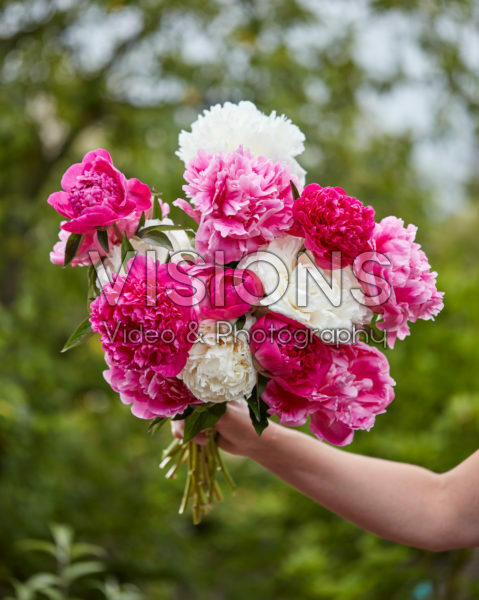 Paeonia mixed bouquet Paeonia mixed bouquet