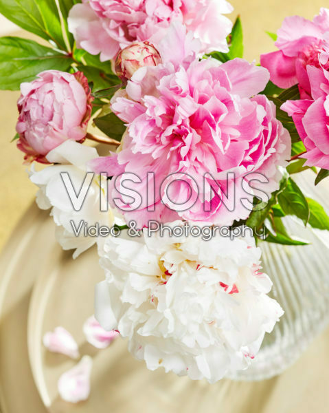 Paeonia bouquet