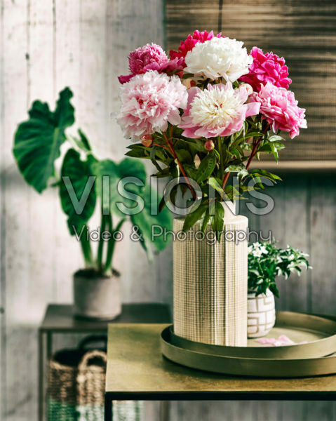 Paeonia bouquet Paeonia bouquet