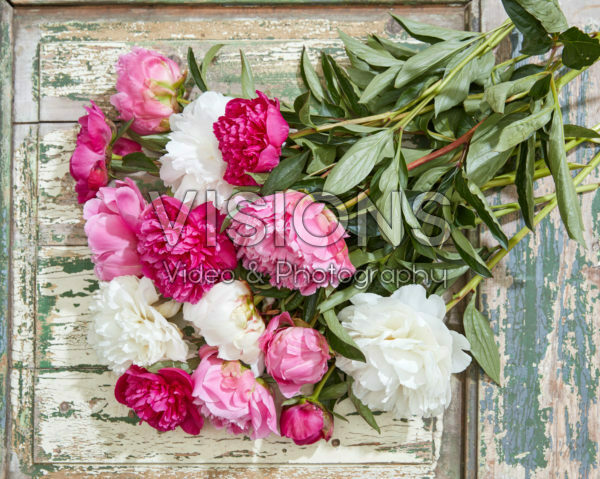 Paeonia gemengd boeket