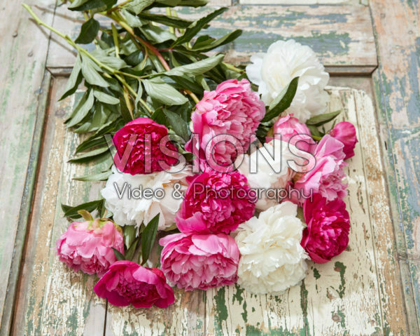 Paeonia mixed bouquet