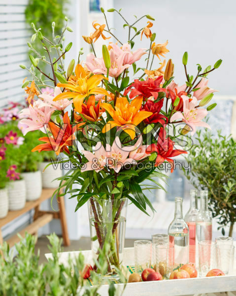 Lilium mixed bouquet Lilium mixed bouquet