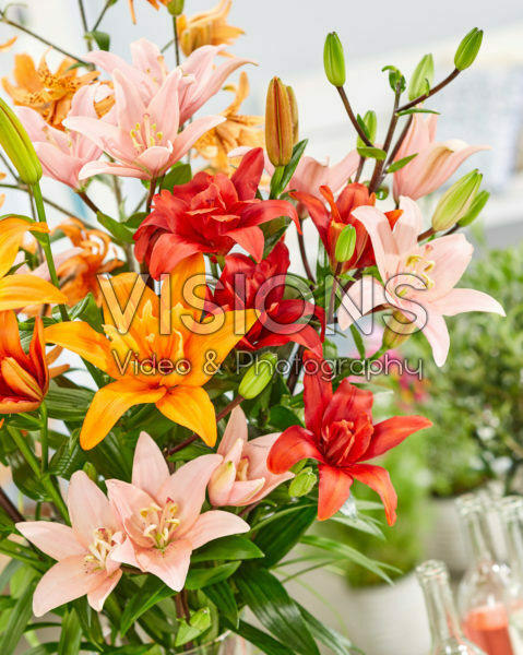 Lilium mixed bouquet Lilium mixed bouquet