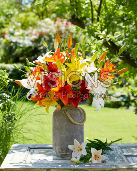 Mixed lily bouquet Mixed lily bouquet