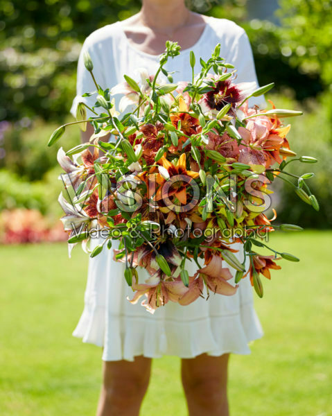 Mixed lily bouquet