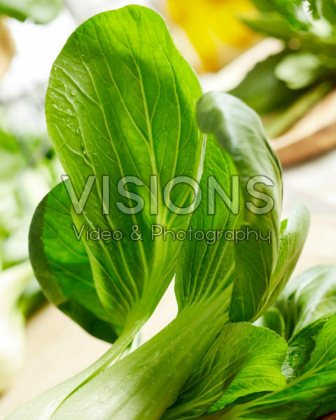 Brassica rapa var. chinensis, baby paksoi