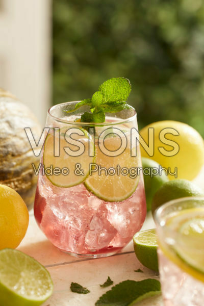 Watermelon Gin and Tonic Watermelon Gin and Tonic