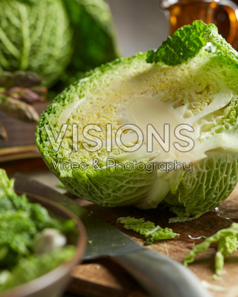 Brassica oleracea convar. capitata, savoy cabbage Brassica oleracea convar. capitata, savoy cabbage