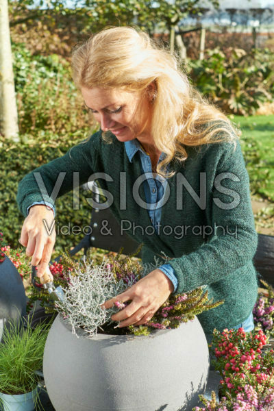 Making mixed autumn container Making mixed autumn container