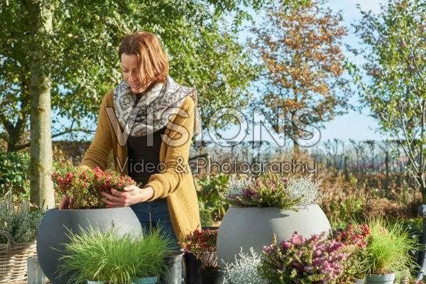 Making mixed autumn containers Making mixed autumn containers