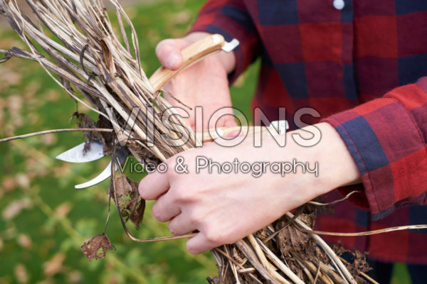 Pruning deciduous shrubs Pruning deciduous shrubs