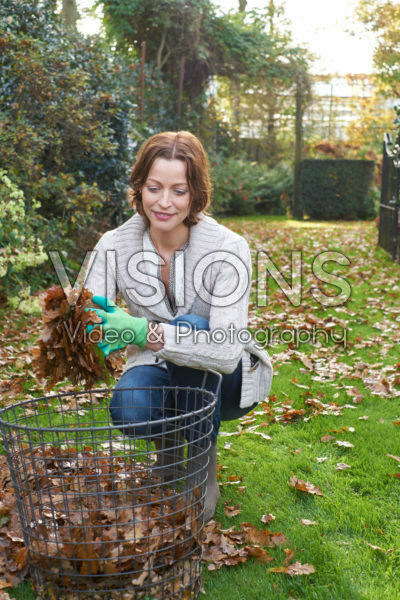 Collecting autumn leaves Collecting autumn leaves