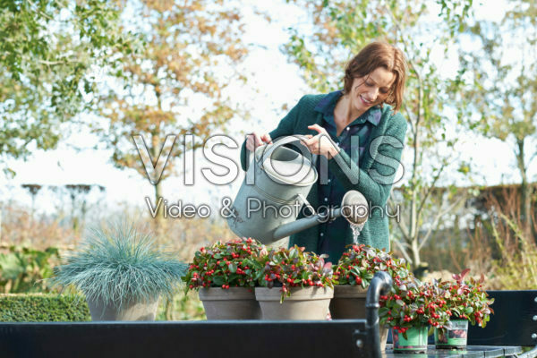 Planten water geven Planten water geven