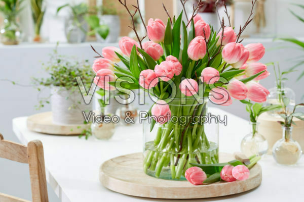 Tulipa Feline bouquet