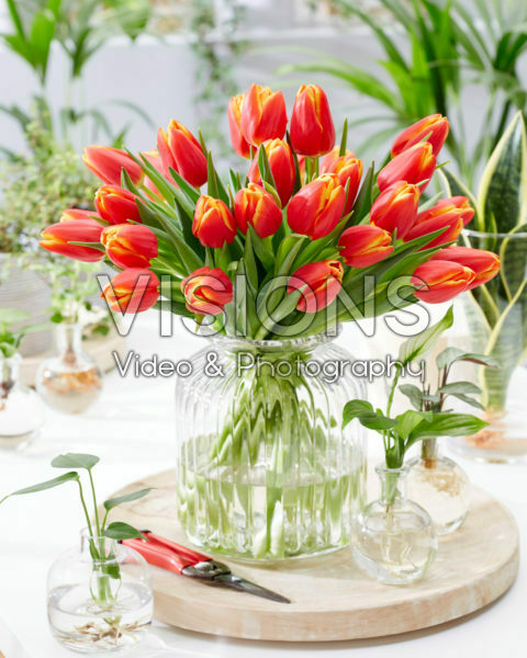 Tulipa Choice boeket