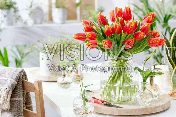 Tulipa Choice bouquet