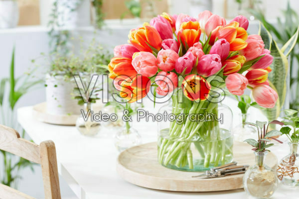 Colourful tulip mix in vase