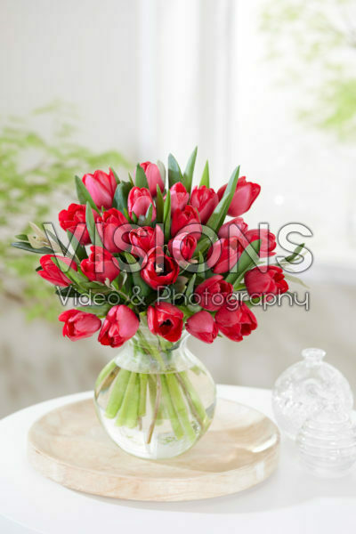 Tulipa Ile de France boeket