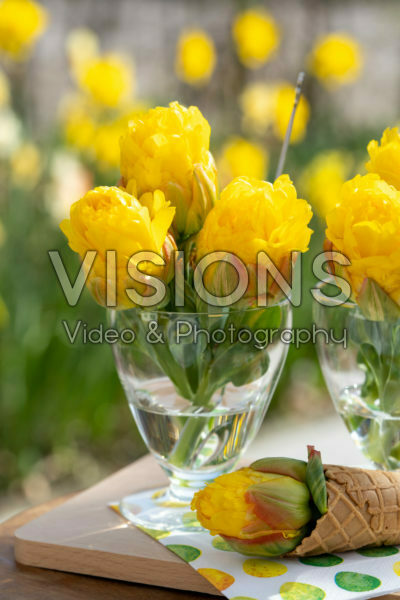 Tulipa Ice Cream Banana Tulipa Ice Cream Banana