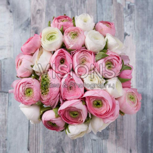 Ranunculus wit en roze mix Ranunculus wit en roze mix
