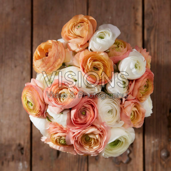 Ranunculus Romantic mix Ranunculus Romantic mix