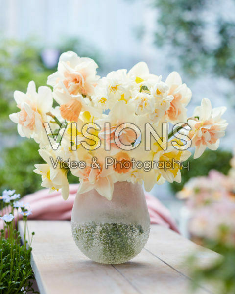 Mixed daffodil bouquet Mixed daffodil bouquet