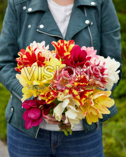 Tulipa Candy Club mix