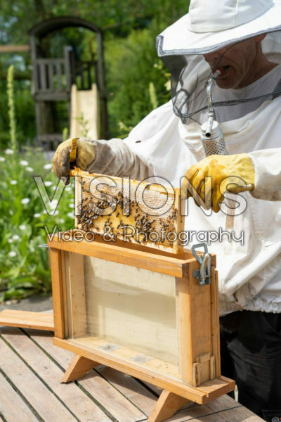 Beekeeper with observation hive