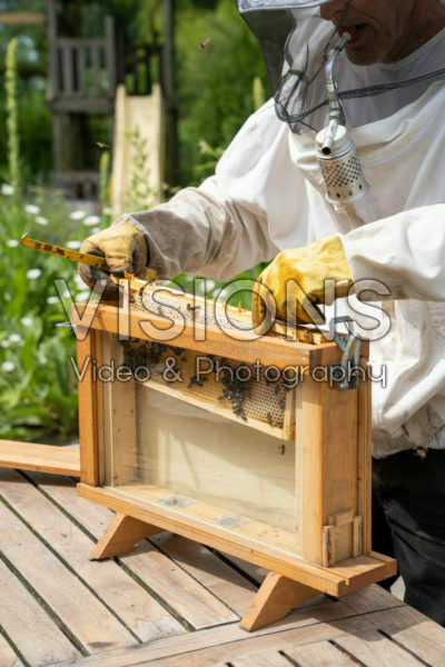 Beekeeper with observation hive Beekeeper with observation hive