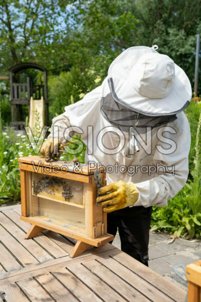 Beekeeper with observation hive