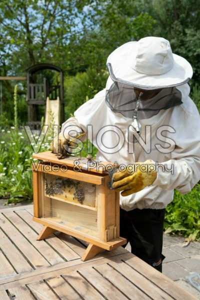 Beekeeper with observation hive