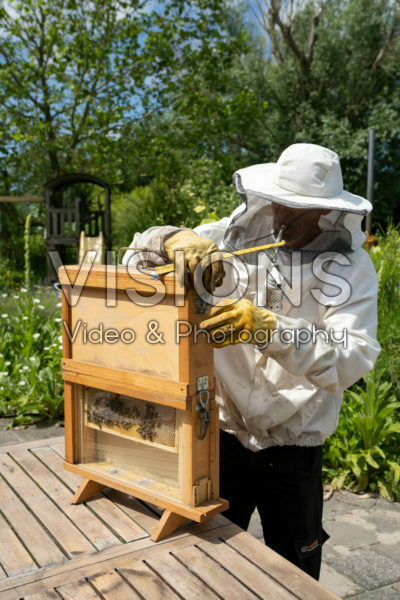 Beekeeper with observation hive Beekeeper with observation hive