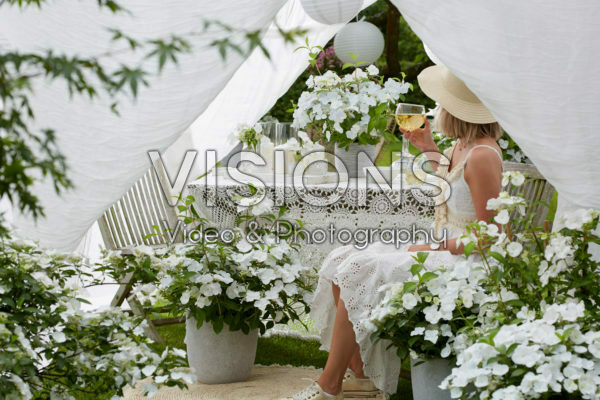 Hydrangea Runaway Bride® Hydrangea Runaway Bride®