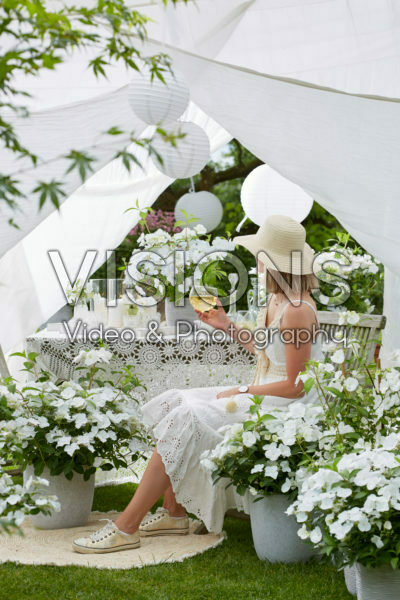 Hydrangea Runaway Bride®