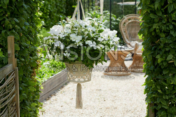 Hydrangea Runaway Bride® Hydrangea Runaway Bride®