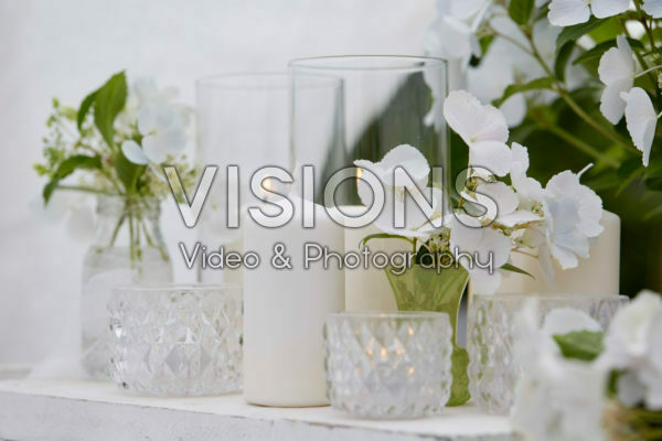 Hydrangea Runaway Bride® Hydrangea Runaway Bride®