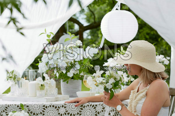 Hydrangea Runaway Bride® Hydrangea Runaway Bride®