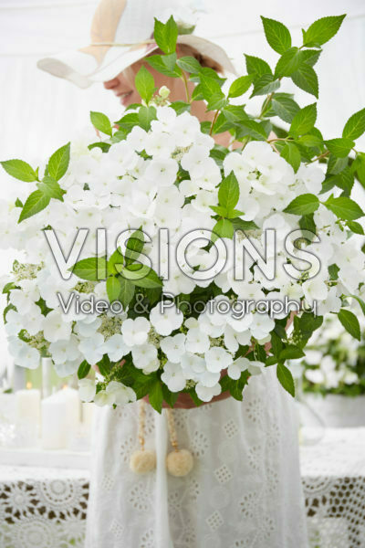 Hydrangea Runaway Bride® Hydrangea Runaway Bride®