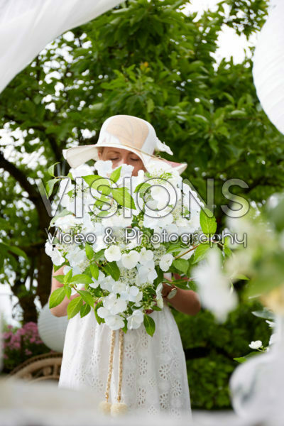 Hydrangea Runaway Bride® Hydrangea Runaway Bride®