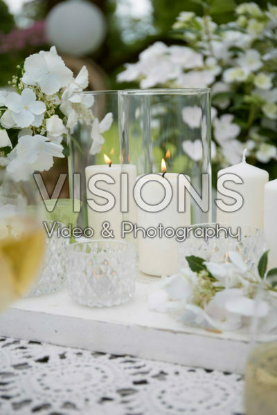 Hydrangea Runaway Bride® Hydrangea Runaway Bride®