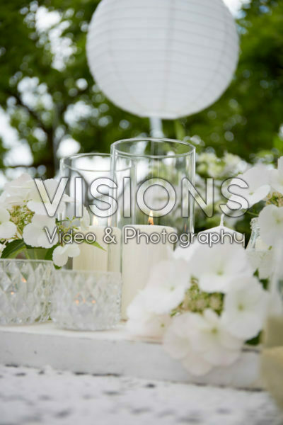 Hydrangea Runaway Bride® Hydrangea Runaway Bride®