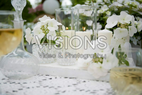 Hydrangea Runaway Bride® Hydrangea Runaway Bride®