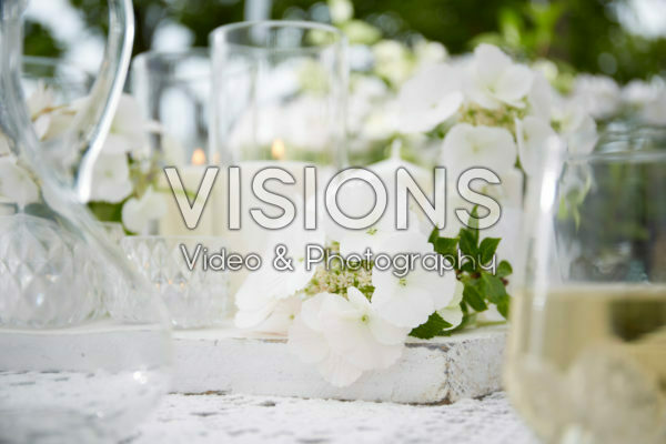 Hydrangea Runaway Bride® Hydrangea Runaway Bride®