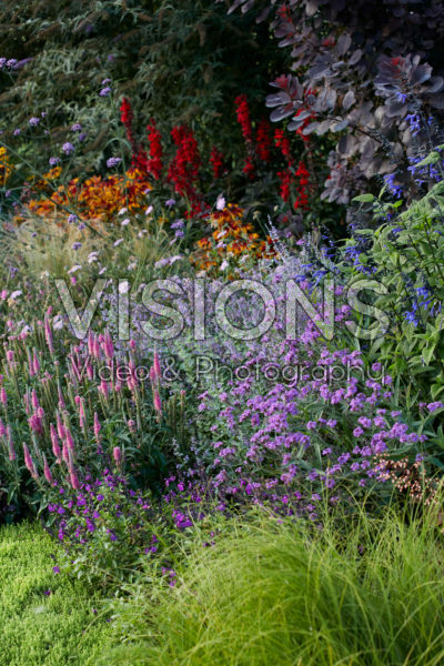 Perennial garden Perennial garden